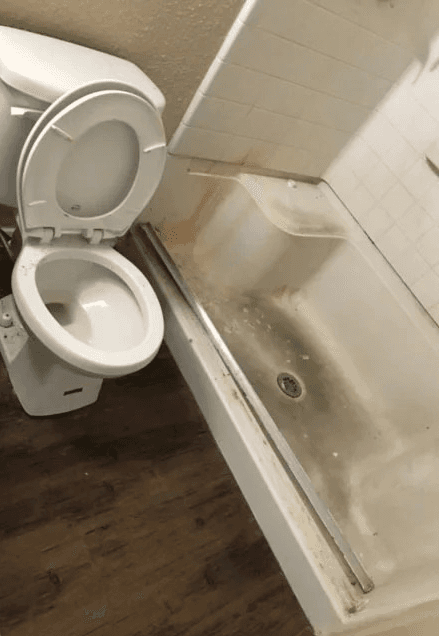 Bathroom Cleaning Guide: From Tiles to Toilets